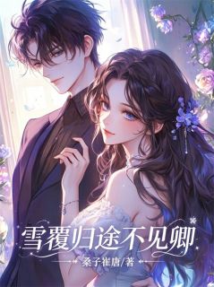许述白江欲雪全本资源 雪覆归途不见卿完整未删减版