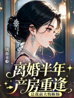 《程想商九辞》小说完结版免费试读 离婚半年产房重逢总裁前夫悔断肠小说阅读