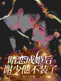 《暗恋成婚后，谢少他不装了》完结版精彩阅读 第1章
