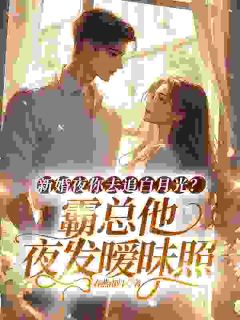 新婚夜你去追白月光？霸总他夜发暧昧照小说 《林晚裴南衍》小说全文精彩阅读