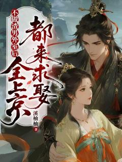 《沈婉茹卫溯》小说大结局在线阅读 不做渣男外室后，全上京都来求娶小说全文