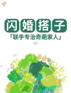 鸡飞狗跳的日常里，我们渐渐动了心沈砚宁蒋霖安小说全本免费试读