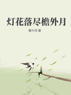 小说灯花落尽檐外月清欢沈宴辞章节免费免费试读地址