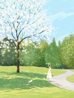 《沈念陆泽》小说大结局免费试读 全家逼我装疯？我反手送他们集体入狱小说全文