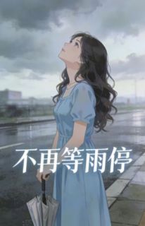 不再等雨停主角周时宜许纪安 第5章 5全文章节免费试读