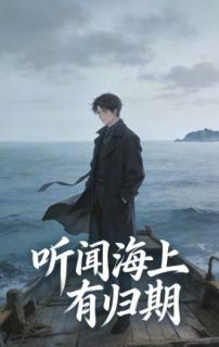 《陆婧川沈屿》听闻海上有归期全文在线阅读  第6章 6