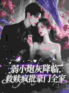 最新《林晚沈砚之》弱小炮灰降临，救赎疯批豪门全家小说免费试读全文章节
