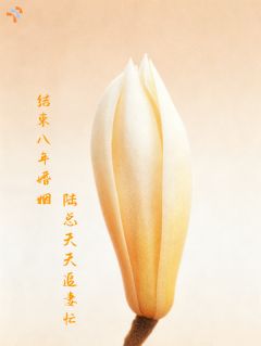 《结束八年婚姻，陆总天天追妻忙》精彩章节列表在线试读 陆竟衡徐慢小说