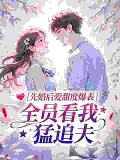 《苏念陆执》先婚后爱甜度爆表，全员看我猛追夫章节列表免费试读