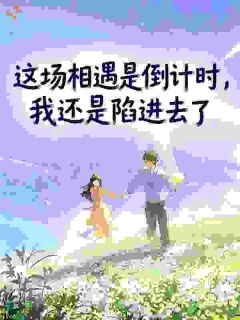这场相遇是倒计时，我还是陷进去了免费阅读(王泽乔思晴全本资源) 无广告