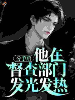 《张继伟李梦瑶》(分手后，他在督查部门发光发热)小说阅读by深海飞鱼