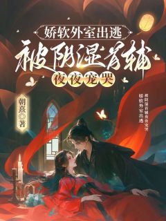 《鹤炤殷嫱》小说完结版免费试读 娇软外室出逃，被阴湿首辅夜夜宠哭小说阅读