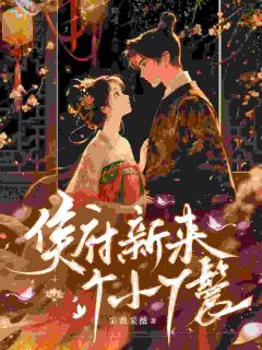 侯府眼线众多，小丫鬟无处可逃阿福徐白渊全文免费试读
