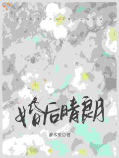 各取所需的婚姻，他先动了心精彩章节小说目录免费试读 (沈清鲤陆廷郁) 大结局无弹窗