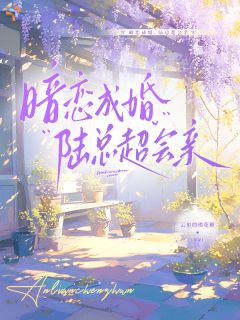 《沈慕画陆朝漾》免费阅读 暗恋成婚，陆总超会亲在线阅读