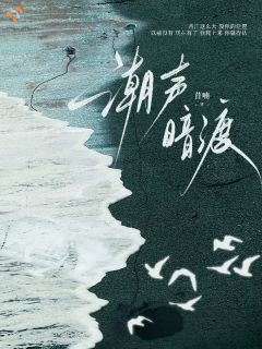 《潮声暗渡》小说全集免费在线阅读（陈允姝许清砚）