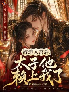 《沈念安萧珩》小说章节列表在线试读 被迫入宫后，太子他赖上我了小说阅读