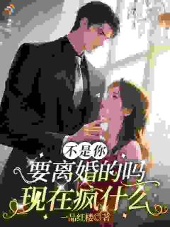 《邱意晚盛归鸿》小说免费阅读 《邱意晚盛归鸿》最新章节目录