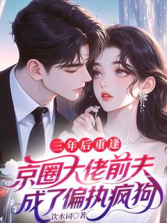 《三年后重逢，京圈大佬前夫成了偏执疯狗》 第3章 他不回头小说精彩章节免费试读（主角阮梨蒋聿）