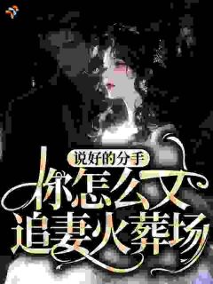 说好的分手，你怎么又追妻火葬场？完整全文阅读 许枳萧淮安小说结局无删节