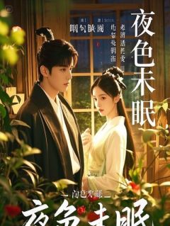 《沈阿蛮顾辞》小说免费试读 《沈阿蛮顾辞》最新章节目录