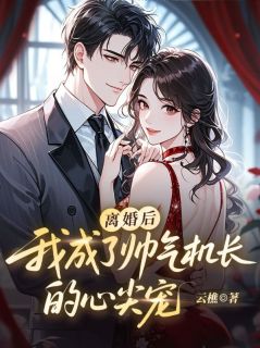 姚雨星江辰离婚后，我成了帅气机长的心尖宠小说全文章节阅读 姚雨星江辰免费完整版