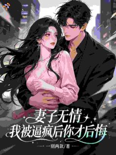 妻子无情，我被逼疯后你才后悔主角刘牧林知音全文精彩内容在线试读