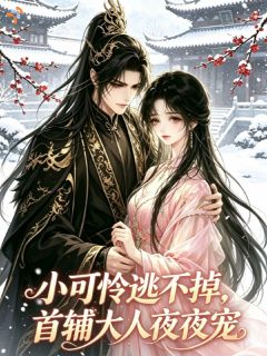【爆款新书】姜舒予裴时安 小可怜逃不掉，首辅大人夜夜宠小说全文章节免费试读