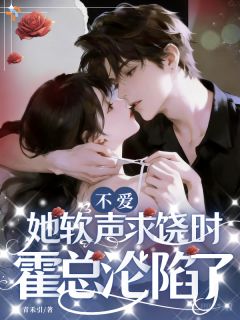 《苏念霍庭洲》小说主角不爱？她软声求饶时，霍总沦陷了全文章节免费免费试读