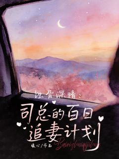 黎景致司洛明主角蚀骨深情：司总的百日追妻计划全文章节在线阅读