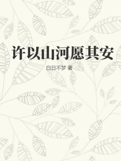 《许愿安沈聿》许以山河愿其安小说在线阅读
