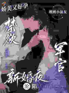 《苏念安顾清屿》小说章节目录免费阅读 娇妻好孕，全家都宠着小说阅读