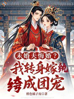 《未婚夫悔婚？我转身嫁纨绔成团宠》崔以宁陆怀瑾章节免费试读