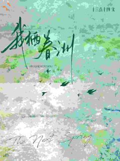 《我栖春洲》小说大结局精彩试读 黎真沈今洲小说全文