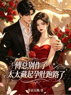 宋晚音傅宴辞免费阅读(傅总别作了，太太藏起孕肚跑路了全本资源) 无广告
