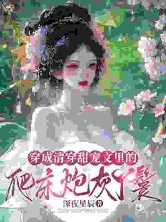 《夏云瑶胤禛》穿成四爷的丫鬟，可福晋她是重生的！章节目录免费阅读