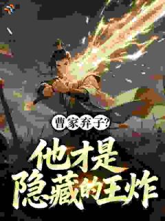 《曹茂曹操》小说最新章节免费阅读（精彩章节未删节）
