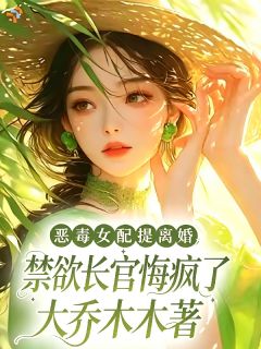《宋念安陆沉舟》小说章节目录精彩试读 恶毒女配提离婚，禁欲长官悔疯了小说全文