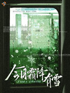 《今日霜降有雪》小说全文在线试读 方若霜沈镜清小说阅读