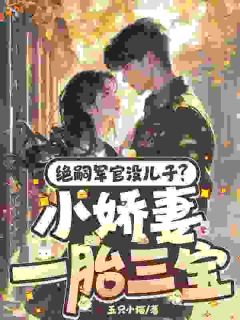 大佬快回家，小娇妻快生了《陆瑾欢贺从南》全文及大结局精彩试读