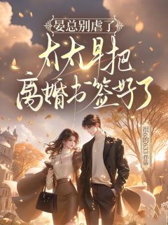 《容初晏司聿》小说全集免费免费试读（晏总，太太让您签了去父留子协议）