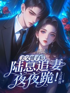 去父留子后，陆总追妻夜夜跪！江万星陆沉洲目录 去父留子后，陆总追妻夜夜跪！小说阅读