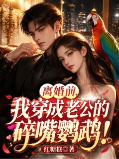 《穿成大佬的鹦鹉后，她又暴露了！》小说大结局在线试读 江沅谢让小说阅读