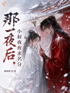 [沈清霜陆铮]那夜之后，小叔夜夜求名分小说全文章节目录在线阅读