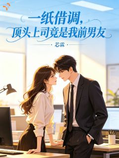 一纸借调，顶头上司竟是我前男友全文在线阅读 许诗念江时序小说全本无弹窗
