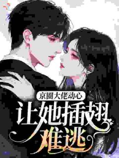 《安以舒沈砚京》小说完结版免费阅读 京圈从不动心的他，为我布下天罗地网小说阅读