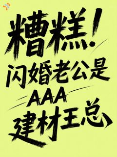 《糟糕！闪婚老公是AAA建材王总》大结局在线阅读 《糟糕！闪婚老公是AAA建材王总》最新章节目录