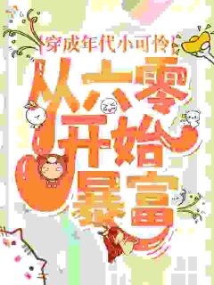 《穿成年代小可怜，从六零开始暴富》小说章节目录在线阅读 何圆圆林恒远小说全文
