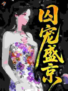 囚宠：我成了京圈大佬的笼中雀小说 《宋柠昭沈疏砚》小说全文在线阅读