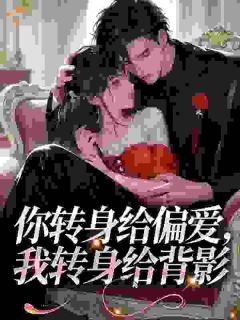 傅聿川孟舒免费阅读 你转身给偏爱，我转身给背影在线阅读